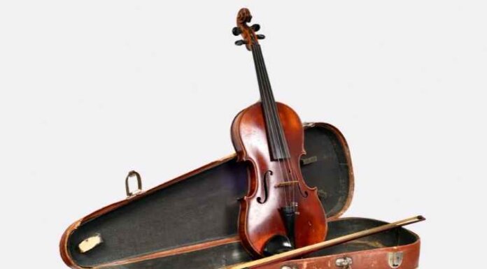 Things to Keep in Mind When Choosing a Violin Case Things to Keep in Mind When Choosing a Violin Case