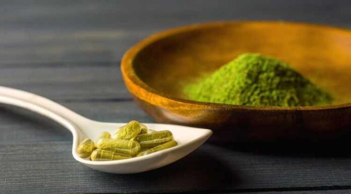 5 Interesting Facts You Should Know About Red Indo Kratom 5 Interesting Facts You Should Know About Red Indo Kratom