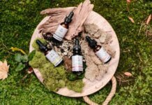 Do You Need A Great Last-Minute Gift? Consider These CBD Must-Haves Do You Need A Great Last-Minute Gift Consider These CBD Must-Haves