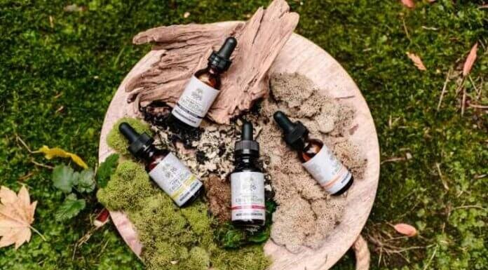 Do You Need A Great Last-Minute Gift? Consider These CBD Must-Haves Do You Need A Great Last-Minute Gift Consider These CBD Must-Haves