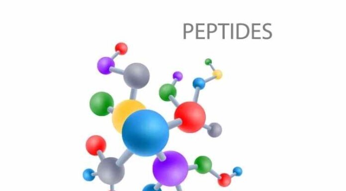 Peptides: What Are They and How to Use Them Peptides: What Are They and How to Use Them