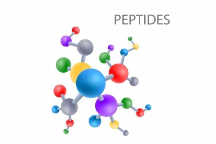 Peptides: What Are They and How to Use Them