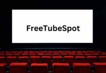 FreeTubeSpot – Here Is Everything About It FreeTubeSpot