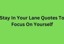Stay In Your Lane Quotes To Focus On Yourself Stay In Your