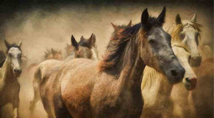 What are the Placement and Benefits of 7-Horse Painting? What are the Placement and Benefits of 7-Horse Painting?