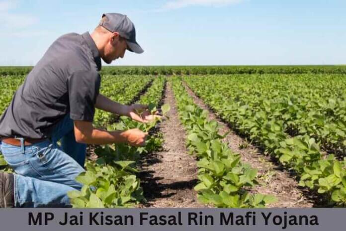 MP Jai Kisan Fasal Rin Mafi Yojana