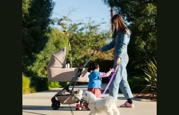 Essential Equipment for Child Development Studies: A Practical Guide for Educators Essential Equipment for Child Development Studies