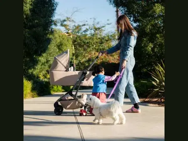 Essential Equipment for Child Development Studies