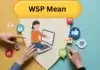 WSP Mean, What It Signals in Messages, and How the Meaning Changes by Context WSP Mean