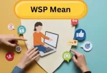 WSP Mean, What It Signals in Messages, and How the Meaning Changes by Context WSP Mean