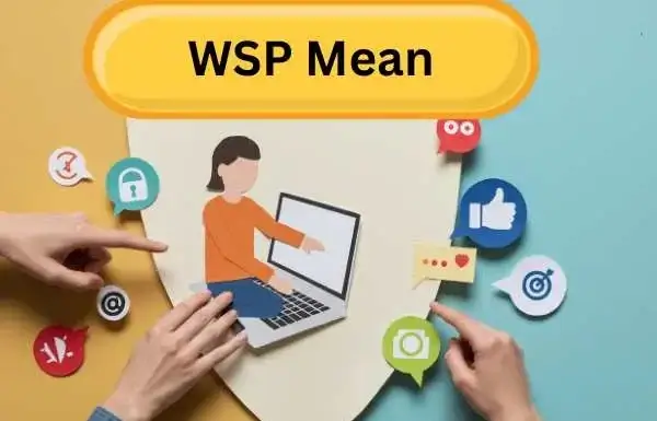 WSP Mean, What It Signals in Messages, and How the Meaning Changes by Context WSP Mean