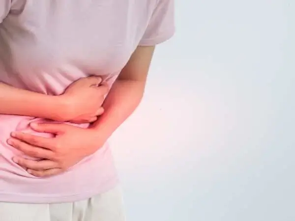 Phases of Menstrual Cycle