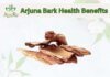 The Ultimate Guide to Ayush Riti Arjun Ki Chhal: Nature’s Best Kept Secret for Heart Health Arjuna Bark Health Benefits (1)