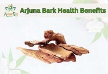 The Ultimate Guide to Ayush Riti Arjun Ki Chhal: Nature’s Best Kept Secret for Heart Health Arjuna Bark Health Benefits (1)