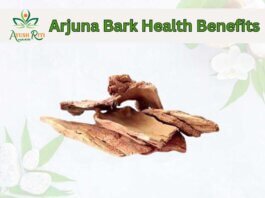 Arjuna Bark Health Benefits (1)