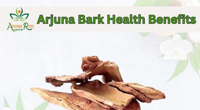 The Ultimate Guide to Ayush Riti Arjun Ki Chhal: Nature’s Best Kept Secret for Heart Health Arjuna Bark Health Benefits (1)