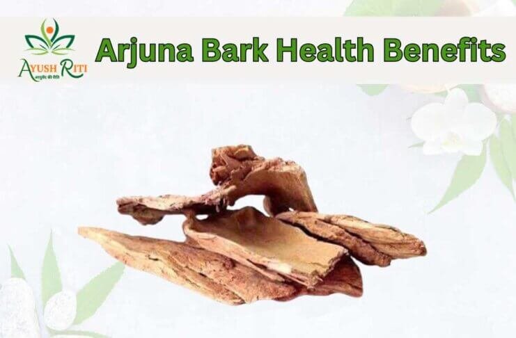 Arjuna Bark Health Benefits (1)